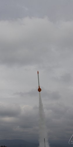 2013 Svojek Mirek Topinka